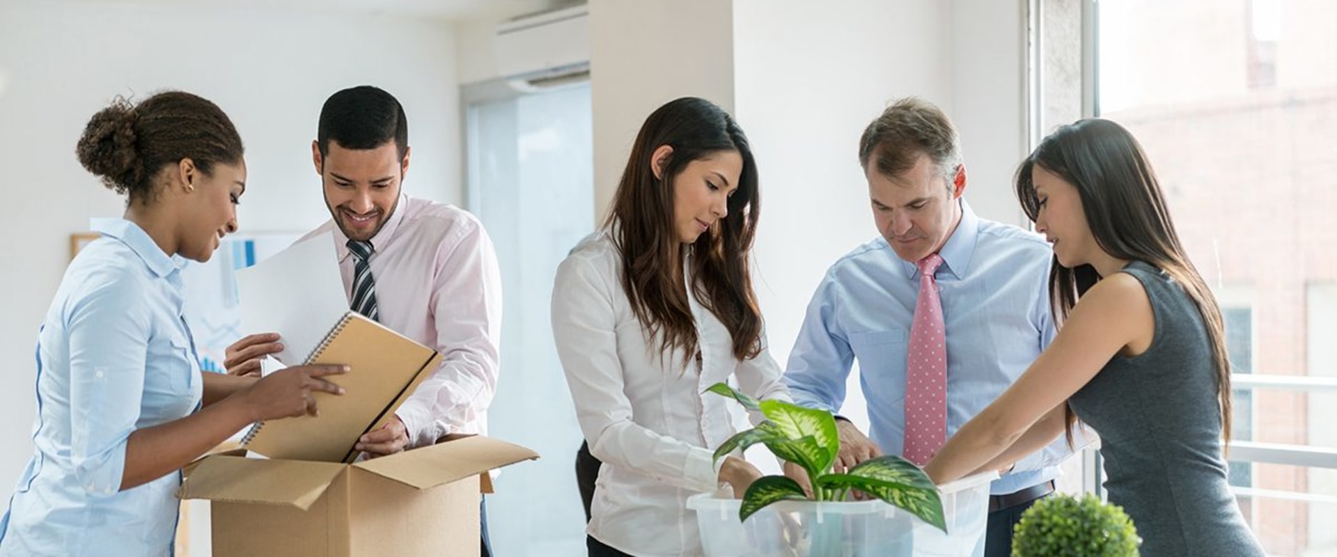 Expert Insights on Ormond Beach Mover Services