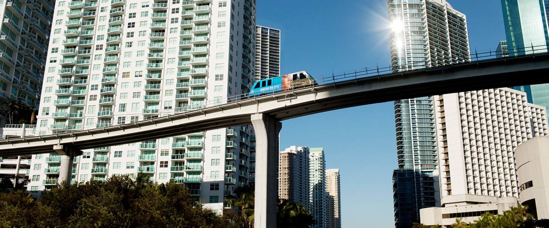 Miami Residential Packing Companies: Everything You Need to Know
