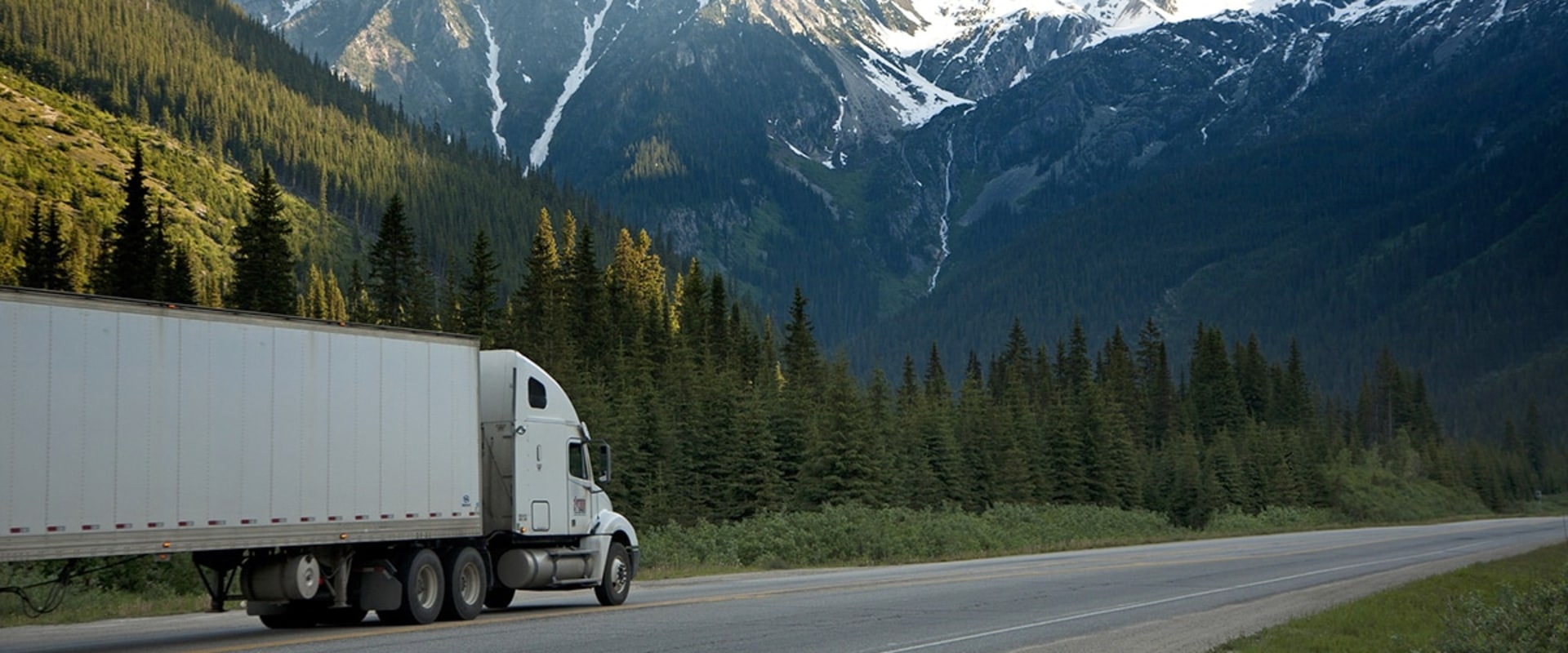 Moving to Miami? Everything You Need to Know About Long Distance Moving Companies